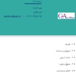 دستور العمل ارزیابی عملکرد پیمانکاران آموزشی